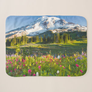 Blumen   Rainier-Wildblumen Sherpadecke