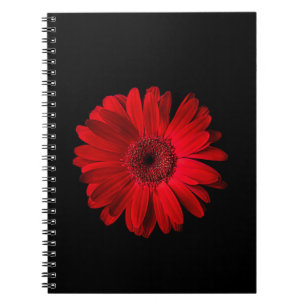 Blumen Red Gerbera Daisy Notizblock
