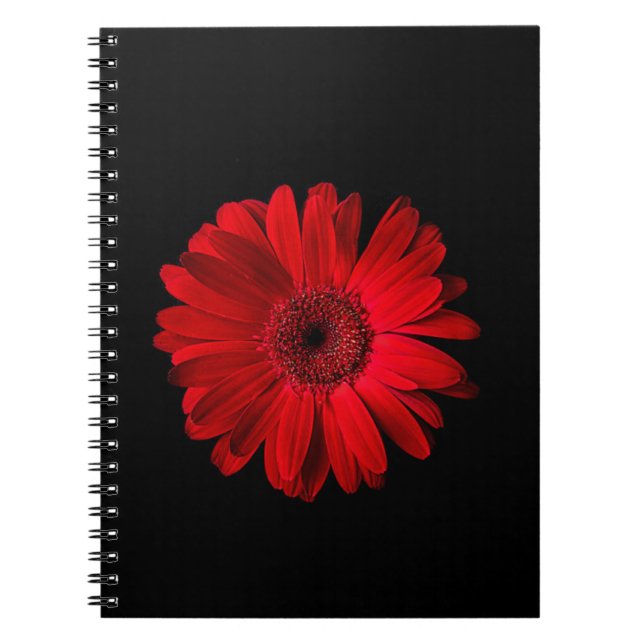 Blumen | Red Gerbera Daisy Notizblock (Vorderseite)