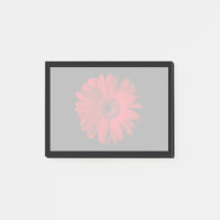 Blumen | Red Gerbera Daisy