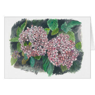 Blumen - rosa Hydrangea