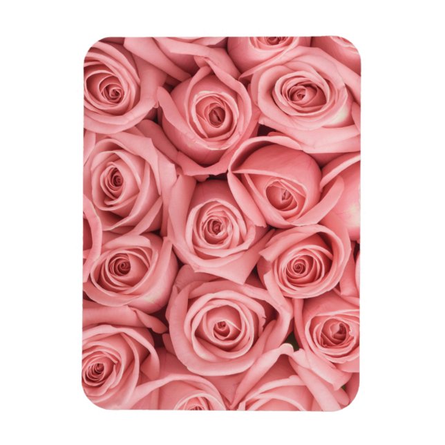 Blumen | Rosa Rosen Magnet (Vertikal)