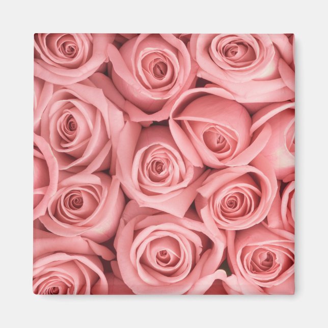 Blumen | Rosa Rosen Magnet (Vorne)