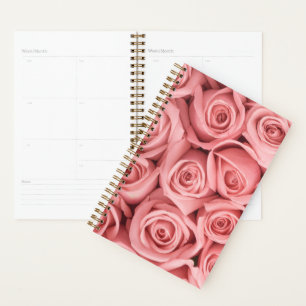 Blumen Rosa Rosen Planer