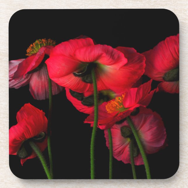 Blumen | Rote Pflaumen Getränkeuntersetzer (Vorderseite)