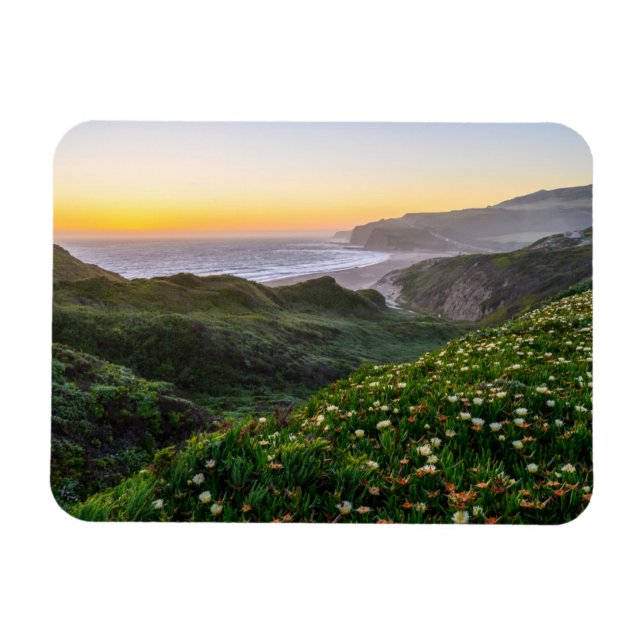 Blumen | Santa Cruz Kalifornien Magnet (Horizontal)