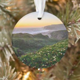 Blumen   Santa Cruz Kalifornien Ornament