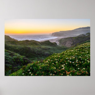 Blumen   Santa Cruz Kalifornien Poster