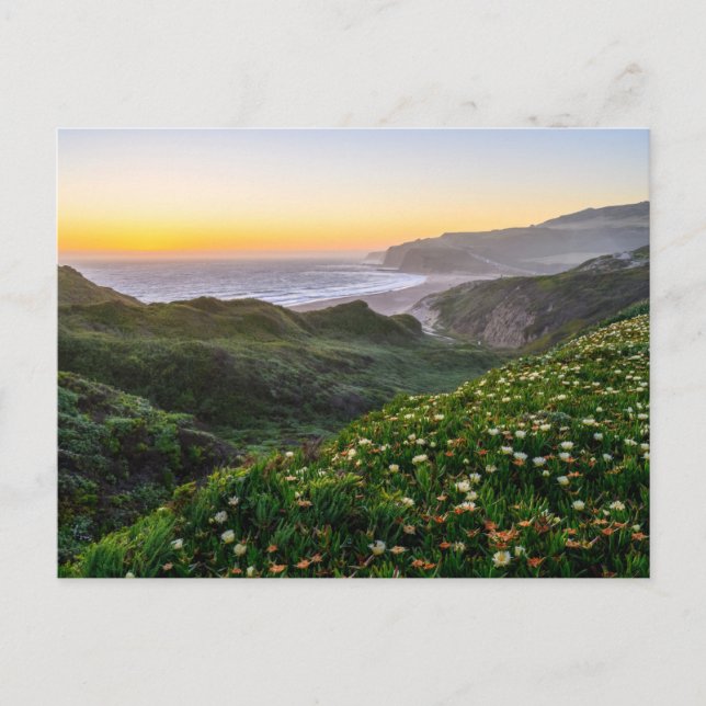 Blumen | Santa Cruz Kalifornien Postkarte (Vorderseite)
