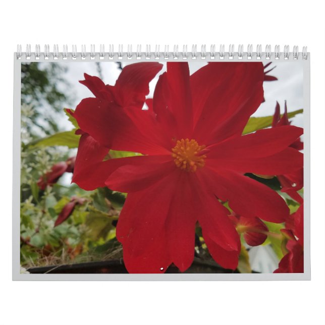 Blumen Sind Es 2026 Kalender (Titelbild)