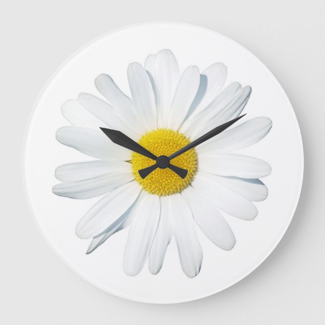 Blumen | Single Daisy Große Wanduhr (Vorderseite)