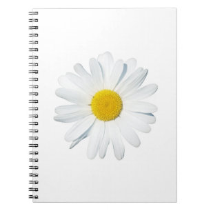 Blumen   Single Daisy Notizblock