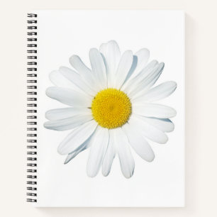 Blumen   Single Daisy Notizbuch