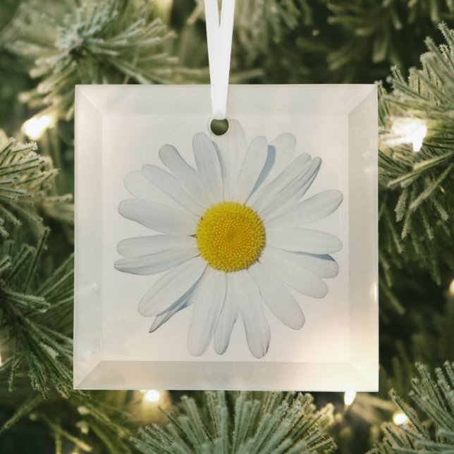 Blumen | Single Daisy Ornament Aus Glas (Insitu)