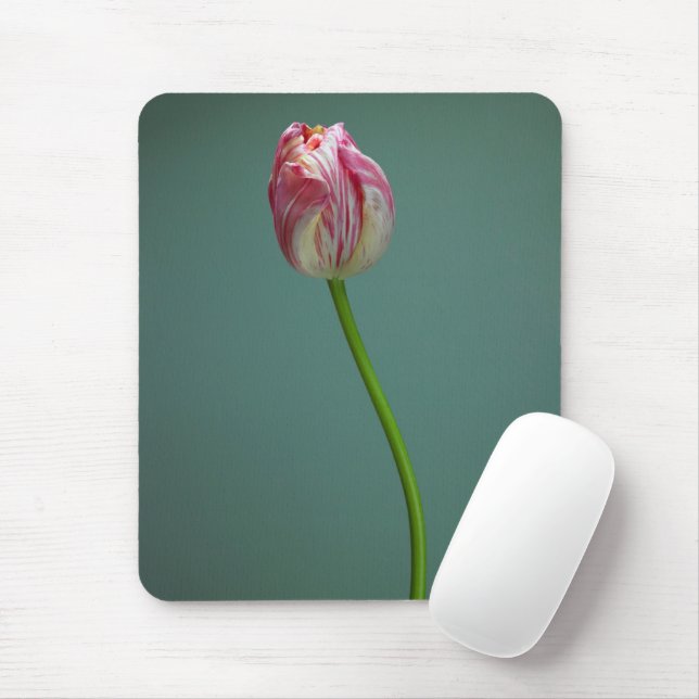 Blumen | Single Tulip Blume Mousepad (Mit Mouse)