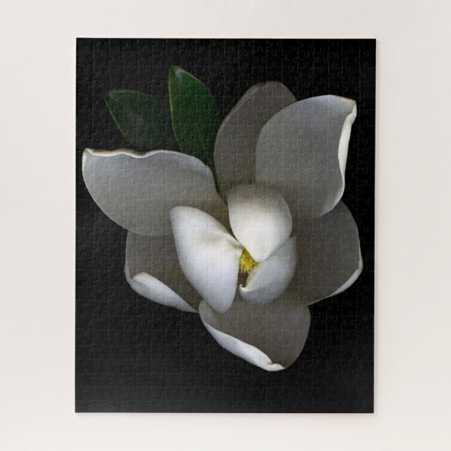 Blumen | Single White Magnolia Blossom (Vertikal)