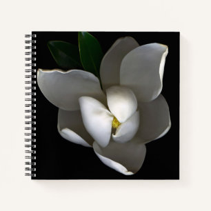 Blumen Single White Magnolia Blossom Notizbuch