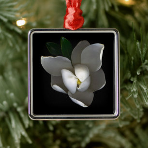 Blumen   Single White Magnolia Blossom Ornament Aus Metall