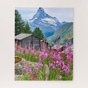 Blumen   Sommermatterhorn Schweiz