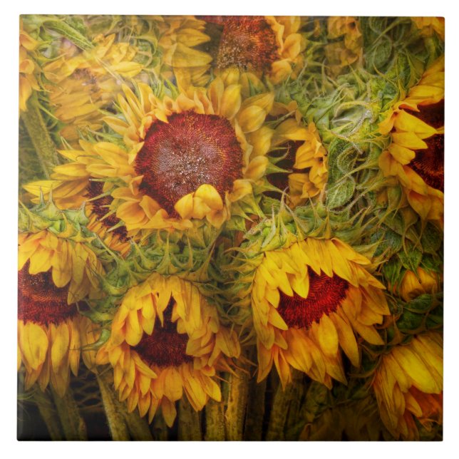 Blumen - Sonnenblumen - Sie sind mein nur Fliese (Vorderseite)