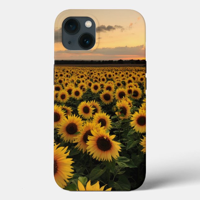Blumen | Sonnenblumenfeld Case-Mate iPhone Hülle (Rückseite)