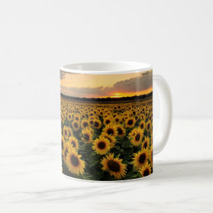 Blumen   Sonnenblumenfeld Kaffeetasse