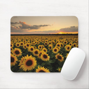 Blumen Sonnenblumenfeld Mousepad