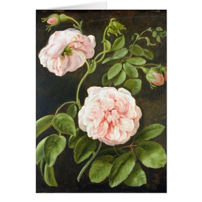 Blumen-Studie (Vorne)