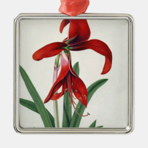 Blumen-Studie, Silbernes Ornament