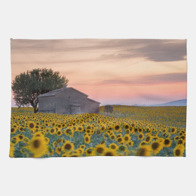 Blumen | Sunflower Field Provence, Frankreich Geschirrtuch (Horizontal)