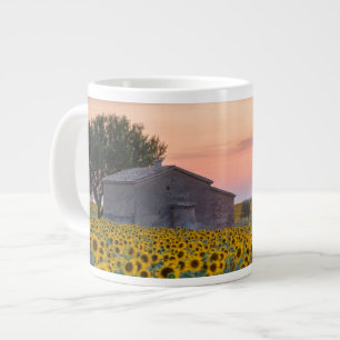 Blumen Sunflower Field Provence, Frankreich Jumbo-Tasse