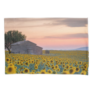 Blumen Sunflower Field Provence, Frankreich Kissenbezug