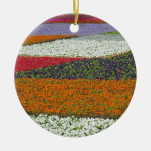 Blumen Teppich Ornament