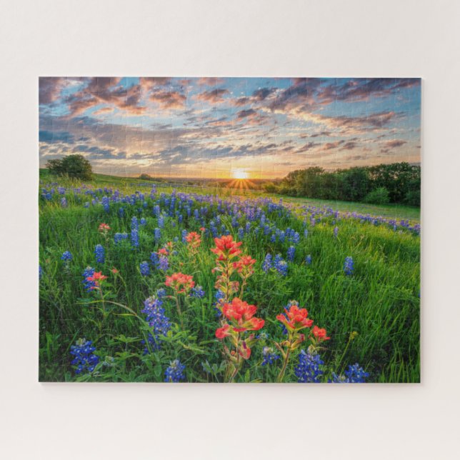 Blumen | Texas Bluebonnets & Indian Paintbrush (Horizontal)