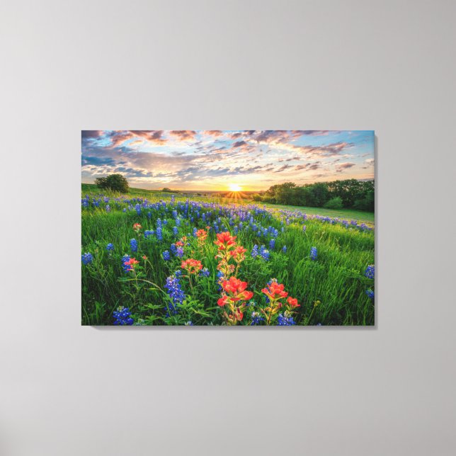 Blumen | Texas Bluebonnets & Indian Paintbrush Leinwanddruck (Vorderseite)