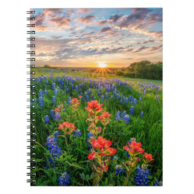 Blumen | Texas Bluebonnets & Indian Paintbrush Notizblock (Vorderseite)