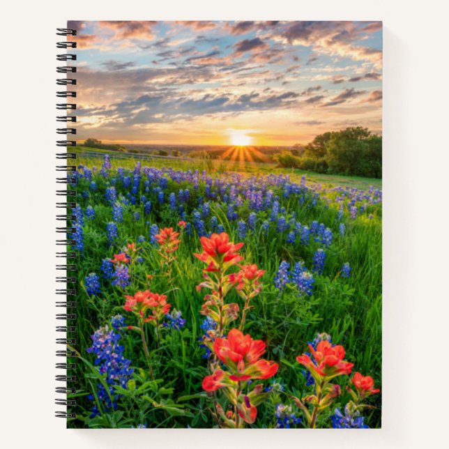 Blumen | Texas Bluebonnets & Indian Paintbrush Notizbuch (Vorderseite)