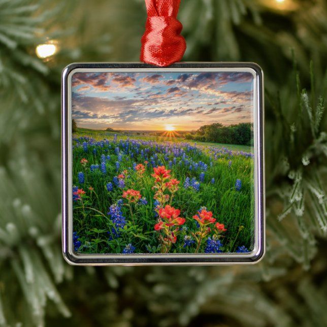 Blumen | Texas Bluebonnets & Indian Paintbrush Ornament Aus Metall (Baum)