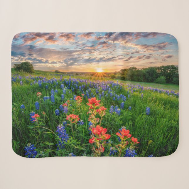 Blumen | Texas Bluebonnets & Indian Paintbrush Sherpadecke (Vorderseite (Horizontal))