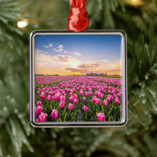 Blumen   Tulips South Holland, Niederlande Ornament Aus Metall