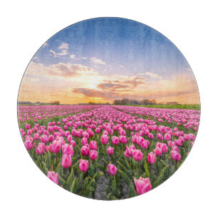 Blumen   Tulips South Holland, Niederlande Schneidebrett