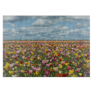 Blumen Tulips Willamette Valley Oregon Schneidebrett