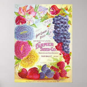 Blumen u. Frucht-Vintager Katalog-Abdeckungs-Druck Poster