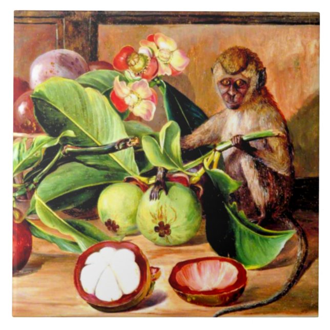 Blumen und Früchte der Mangostane; Singapur-Affe Fliese (Vorderseite)