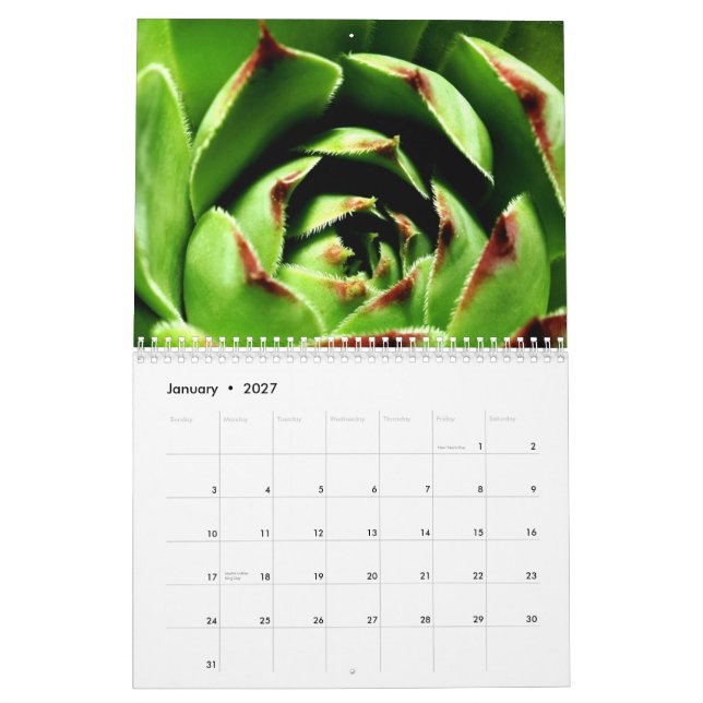 Blumen und Insekten Kalender (Jan 2027)