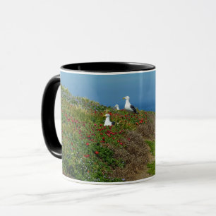 Blumen und Möwen auf Anacapa Island Tasse