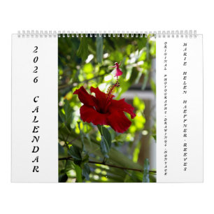 BLUMEN- UND SCHATTENFEEN-KALENDER 2026 KALENDER