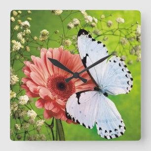 Blumen- und Schmetterlingswanduhr Quadratische Wanduhr