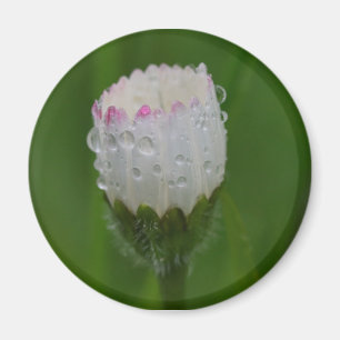 Blumen und Wassertropfen Magnet