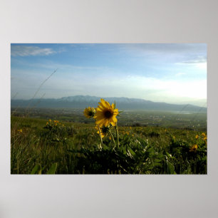 Blumen- und Wellsvillebergstrecke Poster
